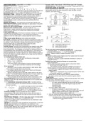 Cheat Sheet Exam 1 