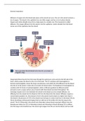 Anatomy assignment 4