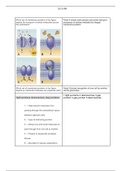 CH 3 Matering A&PI HW