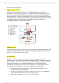 Samenvatting anatomie thema 5 bloedsomloop