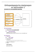 orthopedagogische doelgroepen en werkvelden 1