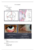 Samenvatting HC2 oogheelkunde - conjunctiva