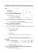 IB Chemistry Topic 16: Chemical Kinetics