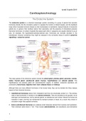 7. Endocrine System