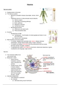 Intro to biological psychology: Neurons and Networks 