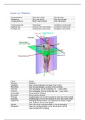 V-VIVO  C1 Uitgewerkte A-ROM en F-ROM per gewricht   oefenvragen