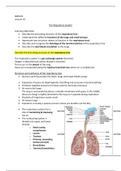 The Respiratory System