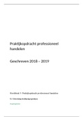 praktijkopdracht professioneel handelen