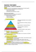 Interne & Externa Analyse (ina/exa) IBL 