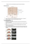 brain development and gene-environment interaction