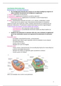 Samenvatting Biomoleculen