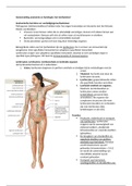 Samenvatting anatomie, fysiologie & pathologie het lymfestelsel