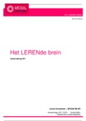 Lerende Brein