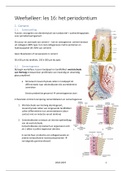 Les 16: het parodontaal ligament