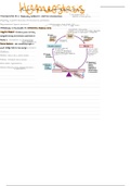 HOMEOSTASIS (Anatomy and Physiology)