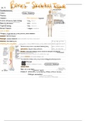 BONES AND SKELETAL TISSUES (Anatomy and Physiology)