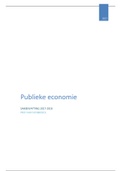 Publieke Economie - 2017-2018 - prof Van Puyenbroeck 