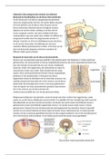 Pathologie thema 5