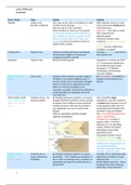 Optimisation of behaviour theories