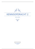 Kennisopdracht 2 Minor Online Marketing