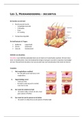 Aantekeningen/samenvatting periode 2