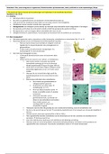 3.18 bot, osseo-integratie en regeneratie / weefselreacties op biomaterialen