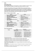 Beroepsproduct P4 arbeidsrecht, ondernemingsrecht en management & organisatie