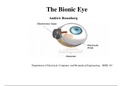 Bionic eye