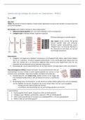 Samenvatting colleges 8TB10