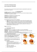 Ontwikkelingspsychologie - Levensfase (1-8) - Leerjaar 1 TP