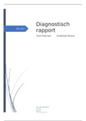 Beroepsproduct diagnostisch rapport kwartaal 2 Sven Petersen