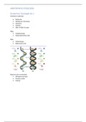 bundel blok 1 en 2 anatomie & fysiologie BML Medische Diagnostiek 