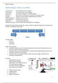 Samenvatting: maatschappij, bestuur & beleid