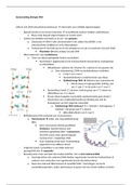 Samenvatting Biologie Voor Jou 5VWO Thema 4 - DNA