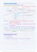 Grade 12 IEB Fluvial Geomorphology