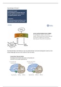 Neurobiologie deel 2 HC8