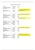 FM224 all excel practice and profit & loss statment