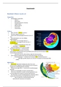 Verpleegkunde samenvatting Anatomie en fysiologie