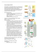 Samenvatting hoofdstuk 13: cellulair metabolisme, glycolyse, citroenzuurcyclus en oxidatieve fosforylering