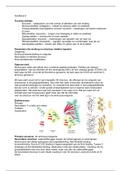 Samenvatting hoofdstuk 4: eiwit