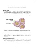 Bioquímica hormonas tiroides