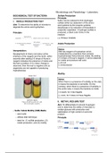 Microbiology and Parasitology Laboratory Part 3