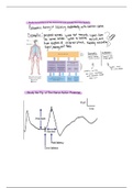 Bsc2085 lecture test review 