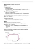 Animal cell biology – Lecture 1 + 2