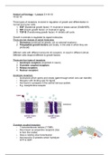 Animal cell biology – Lecture 3 + 4 + 5