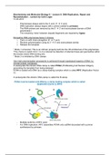 Lecture 8 - DNA Replication, Repair and Recombination