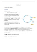 Biochemie van de inspanning - 7 proteine turnover