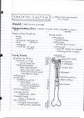 Skeletal System