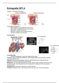 Fontys MBRT samenvatting OP1.1 t/m OP1.4 Echografie Jaar 1