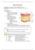 Dermatologie: Zeer uitgebreide PROVOKE en efflorescenties (Incl afbeeldingen!)